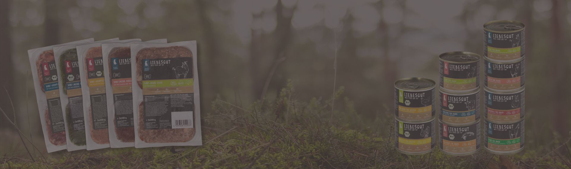 Header Angebote 07-25 mit transparenz