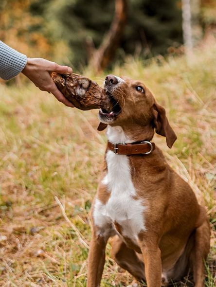 seo-text-zufriedenheitsgarantie