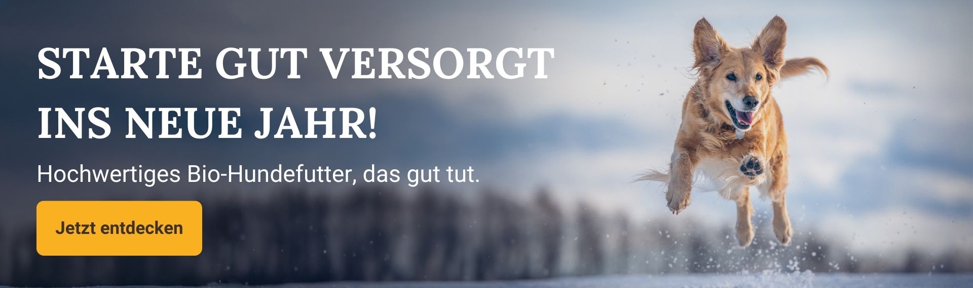 Starte gut versorgt ins neue Jahr mit hochwertigem Bio Hundefutter von Liebesgut Tiernahrung. Natürliches Futter für Hunde. Jetzt entdecken.