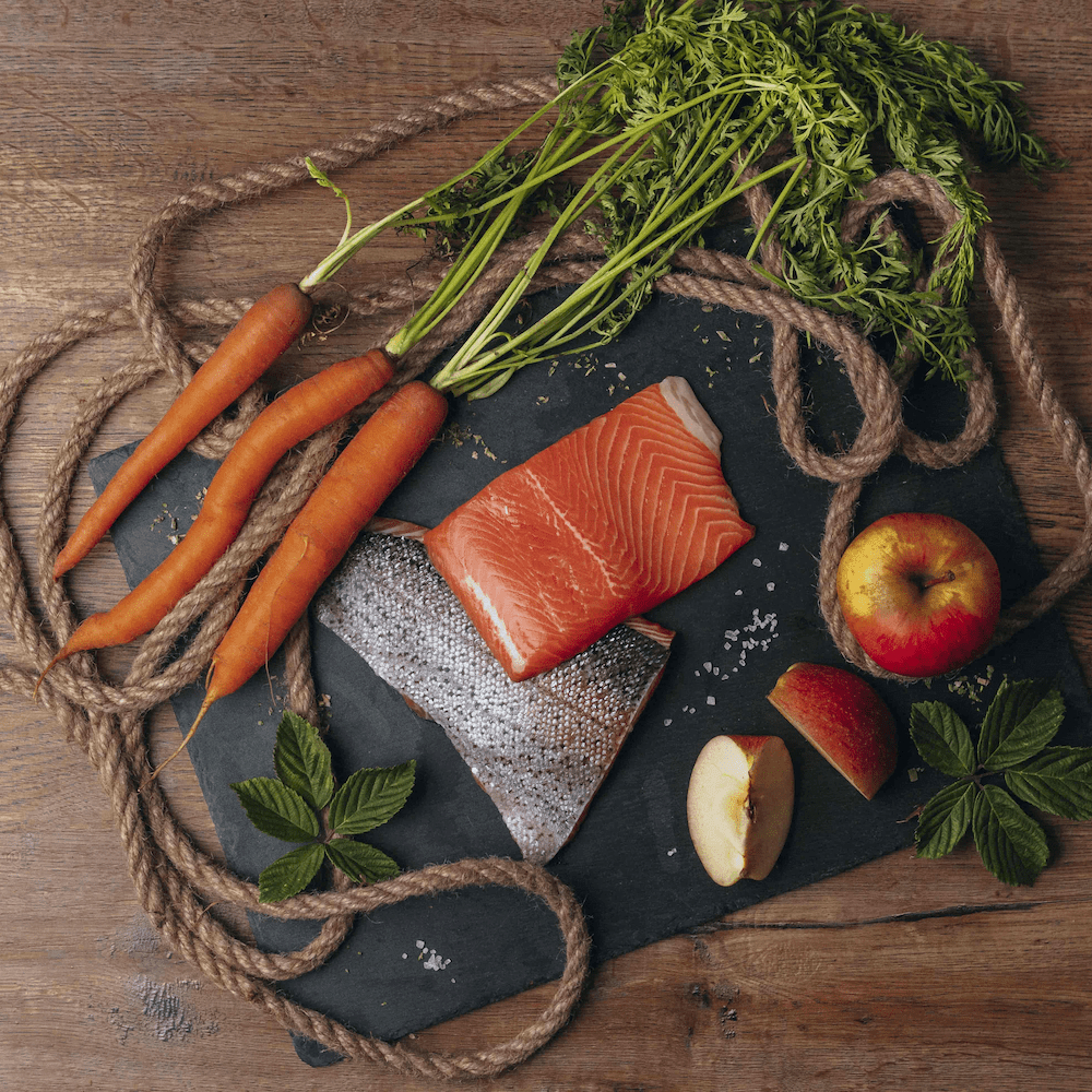 BIO-Lachs-mit-Apfel-und-Karotte-square Bio-Lachs mit Bio-Apfel und Bio-Karotte