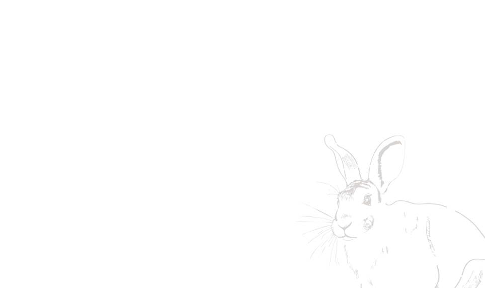 wildhase_hintergrund