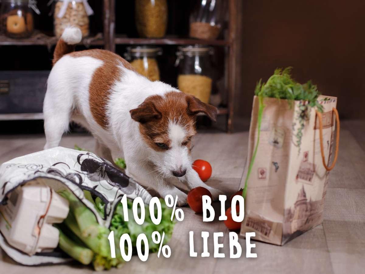 Wir sind ab Juli 100 % BIO und weiterhin 100% Liebe