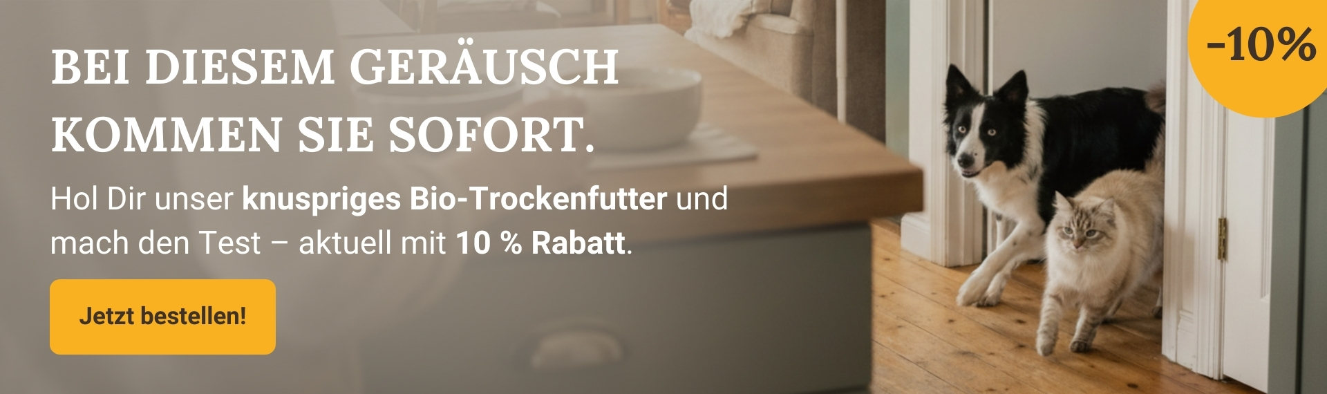 LG-2026-KW9 Trockenfutter Shop-Header Desktop DE