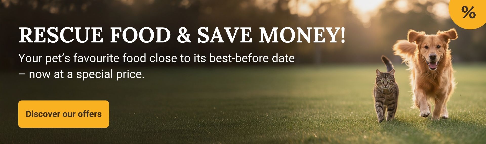 2025-03 MHD-Banner Desktop EN