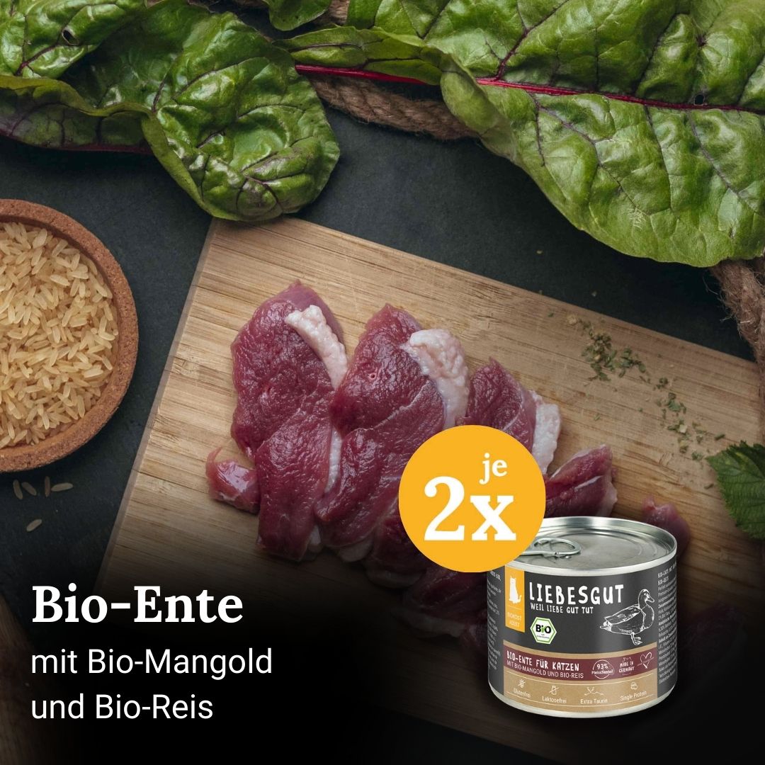 Probierpaket Katze Adult 8 x 200 g Probierpaket Katze Adult 8 x 200 g