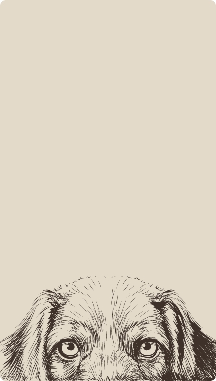 testbild-banner-sortiment testbild-banner-sortiment