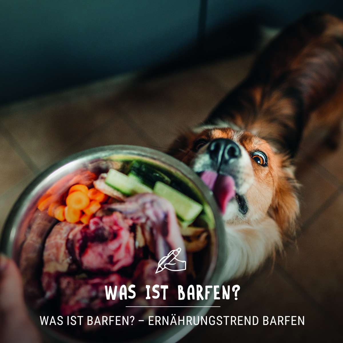 Was ist Barfen? Ein Überblick