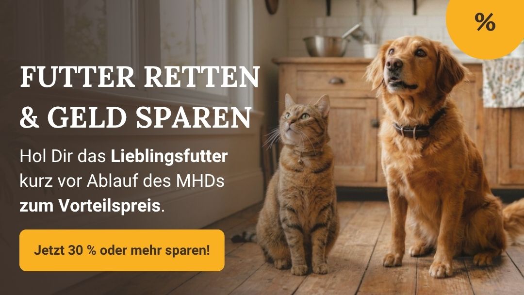 LG-NL 2026-06 MHD-Snacks Shop-Header Mobile DE_(1)