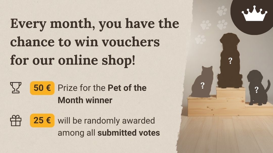 Pet of the Month infographic with chances to win shopping vouchers in the Liebesgut Tiernahrung online shop