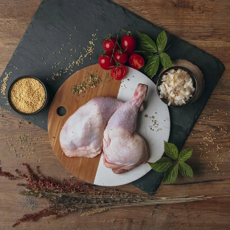 BIO Gans mit Kokosflocken und Tomate -square