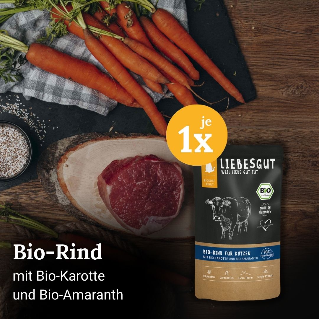 Probierpaket Katze Adult 4 x 100 g