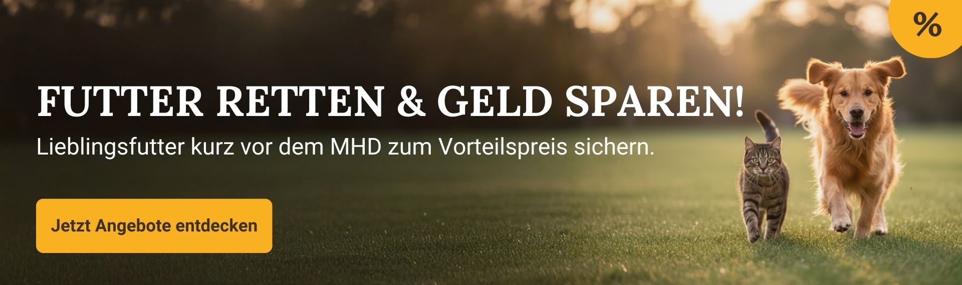 2025-03 MHD-Banner Desktop DE