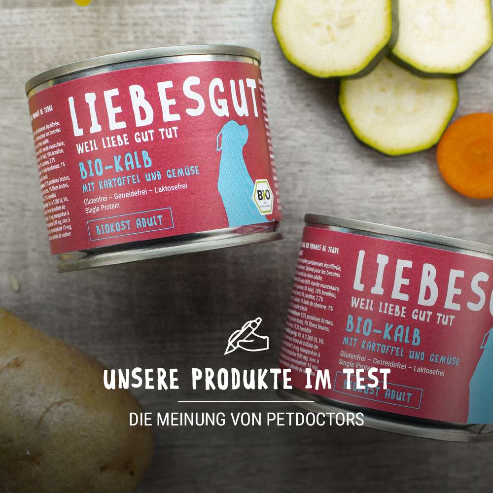 Produkttest Liebesgut: so schneiden unsere Produkte ab