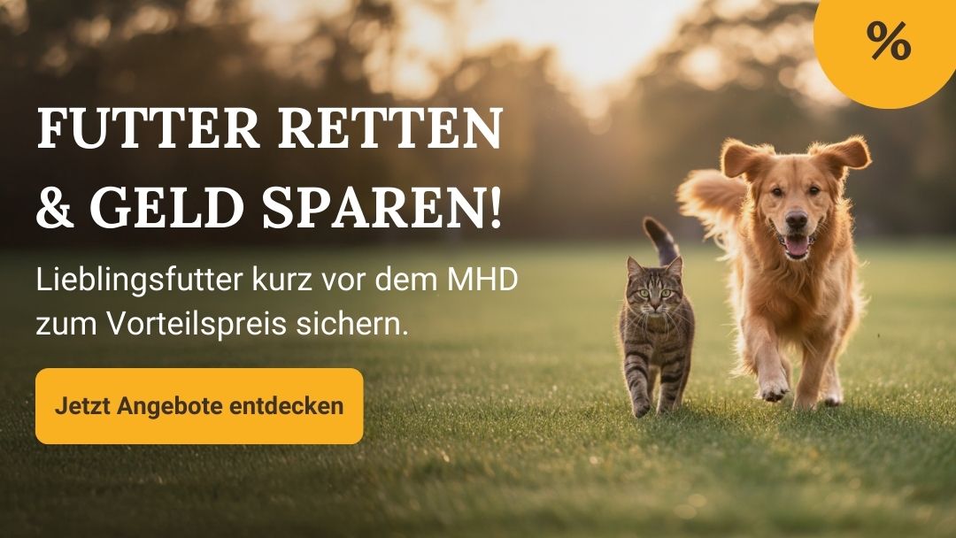 2025-03 MHD-Banner Mobile DE