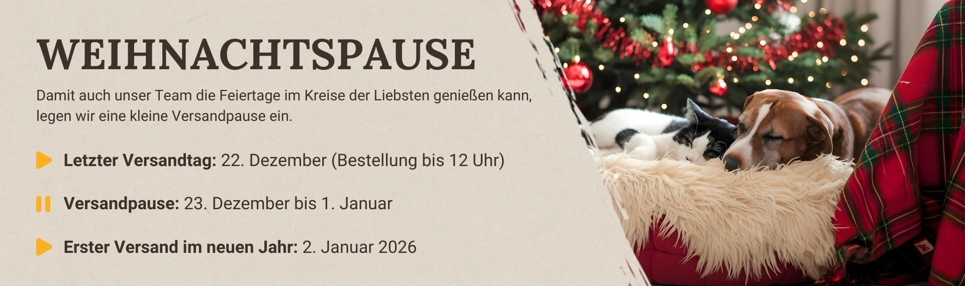 LG-NL 2025-52 Weihnachtspause Shop-Header Desktop