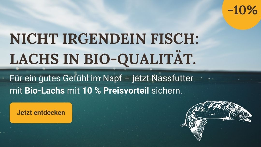 LG-NL 2026-10 Bio-Lachs Shop-Header Mobile DE Ver.2