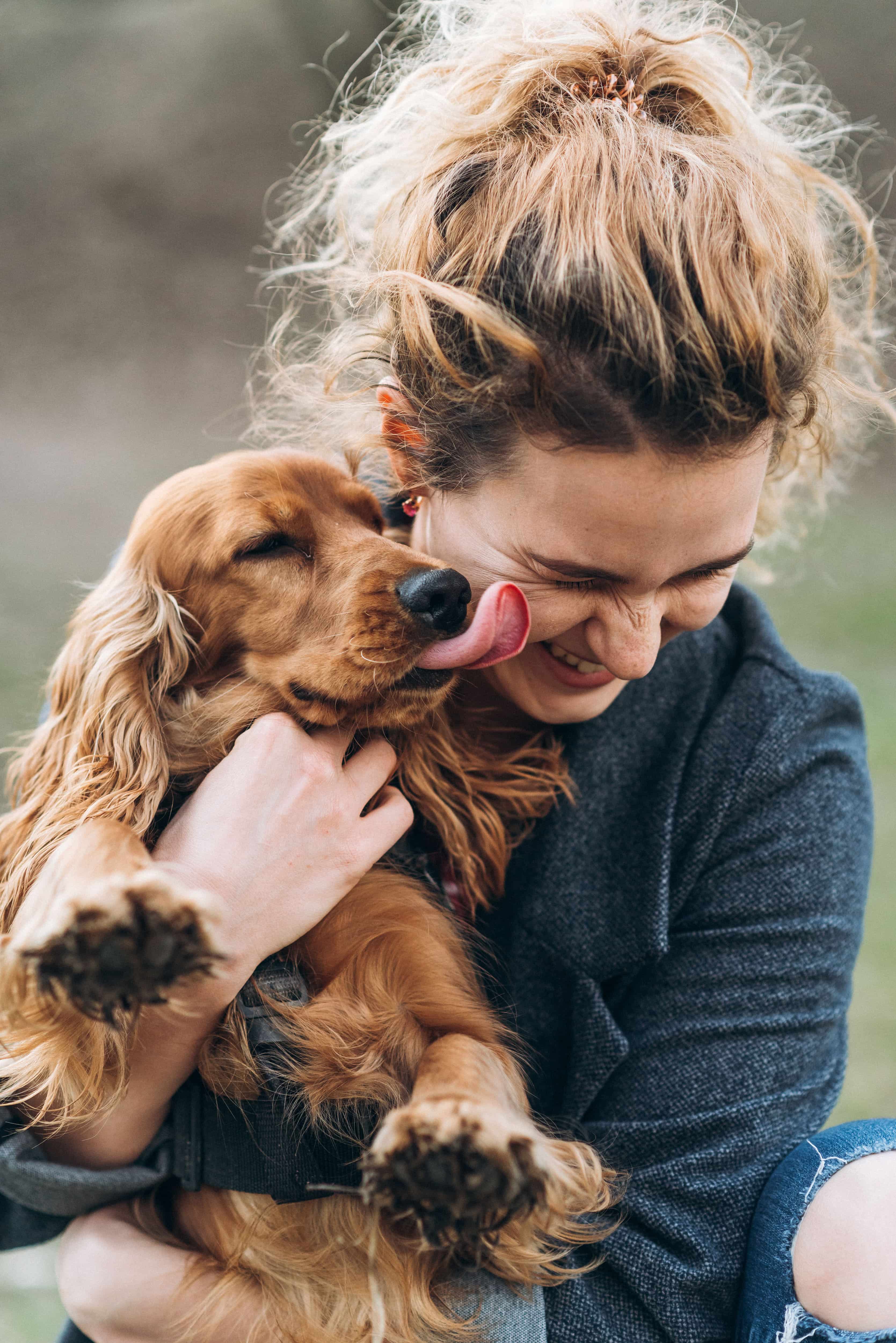 Titelbild_Hund-Sensitiv-Linie-LIebesgut