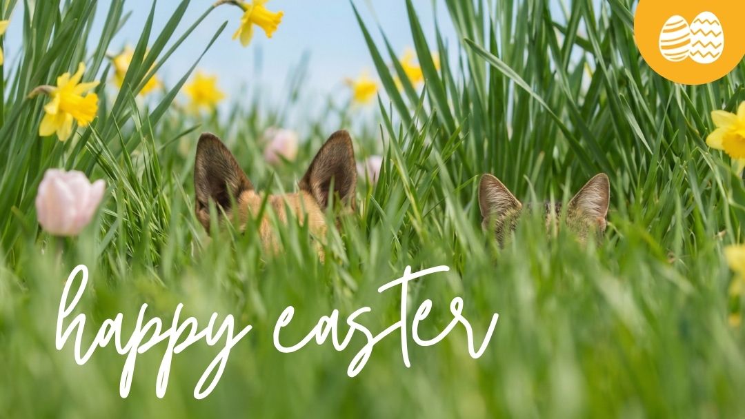 LG-2026-KW1415 OsternGlcksrad Shop-Header Mobile EN