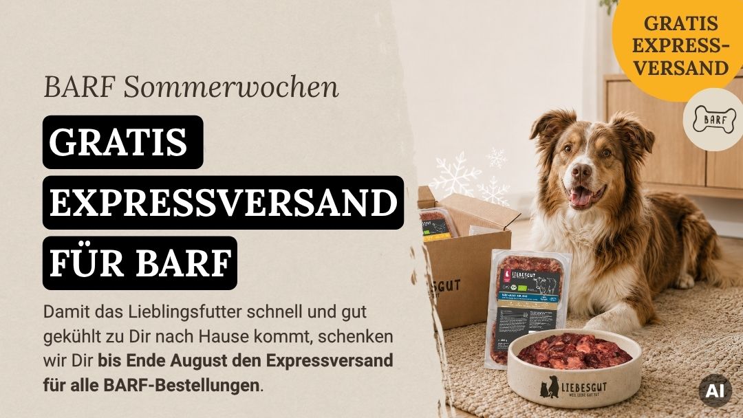 LG-NL 2026-29 BARF Sommeraktion Shop-Header Mobile DE