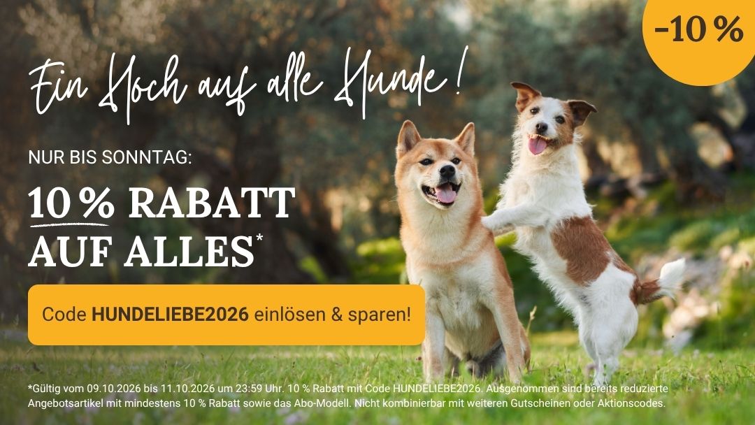 LG-NL 2026-41 Rabattaktion Shop-Header Mobile DE