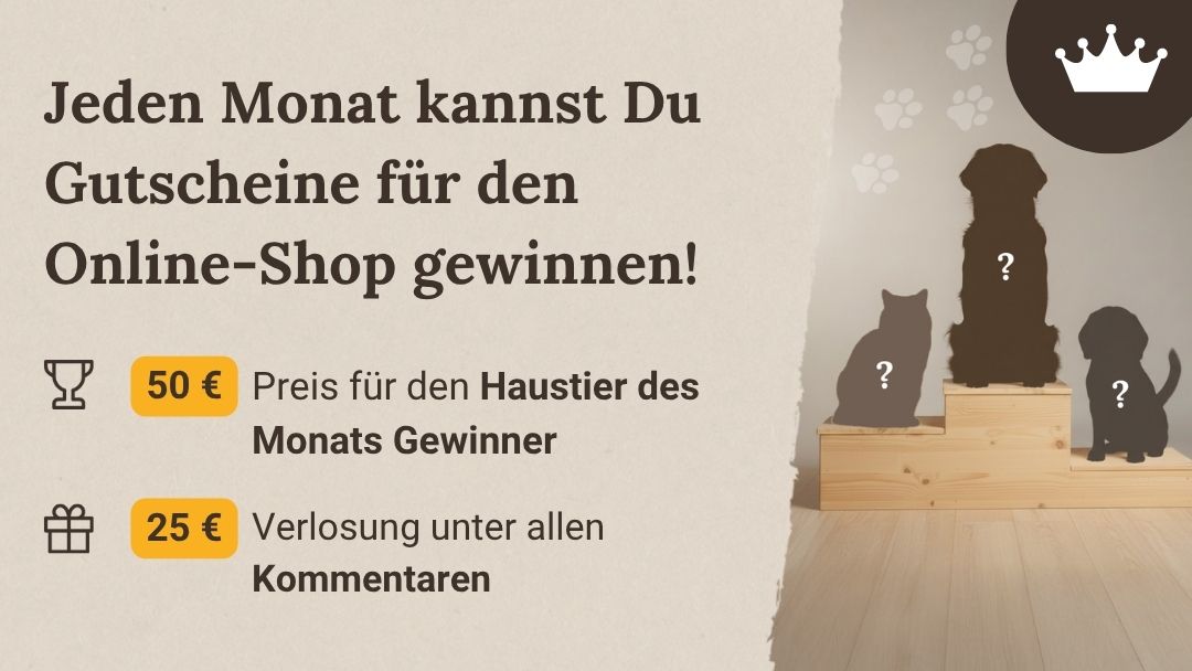 Shop-Header Mobile