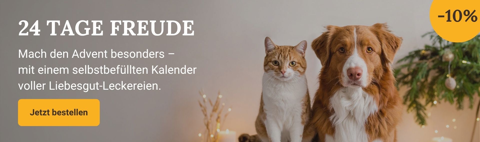 2025KW46_Shop-Header Desktop