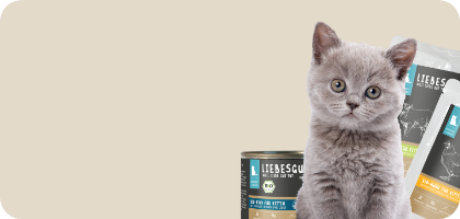 zen-slider-kitten zen-slider-kitten