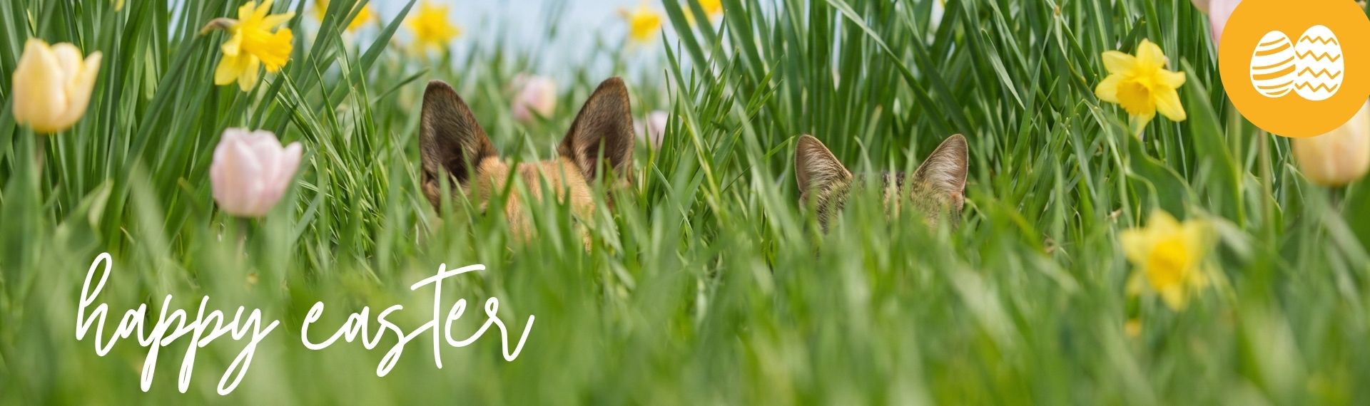 LG-2026-KW1415 OsternGlcksrad Shop-Header Desktop EN