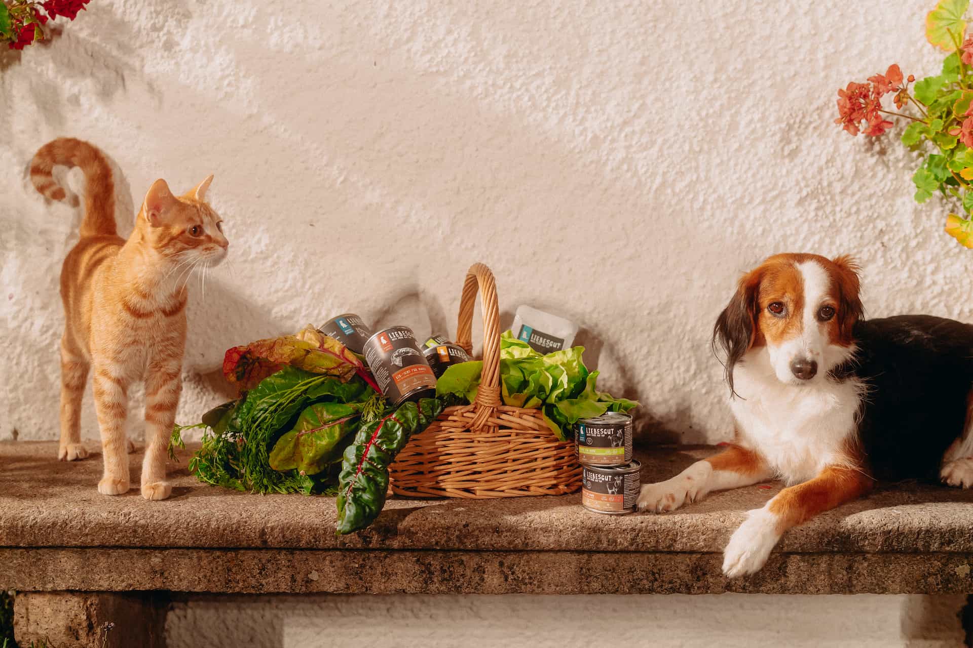 liebesgut_katzenfutter_11 liebesgut_katzenfutter_11
