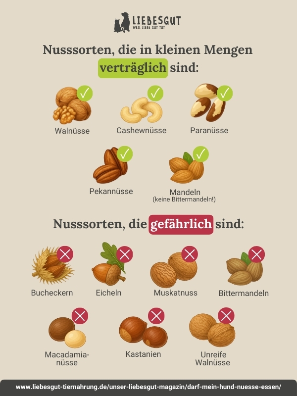 LG Grafik - Nusssorten (1)