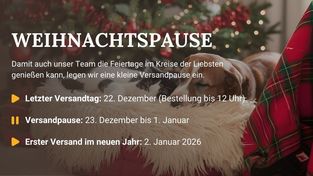 LG-NL 2025-52 Weihnachtspause Shop-Header Mobile