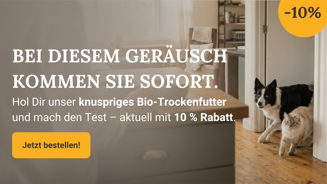 LG-2026-KW9 Trockenfutter Shop-Header Mobile DE