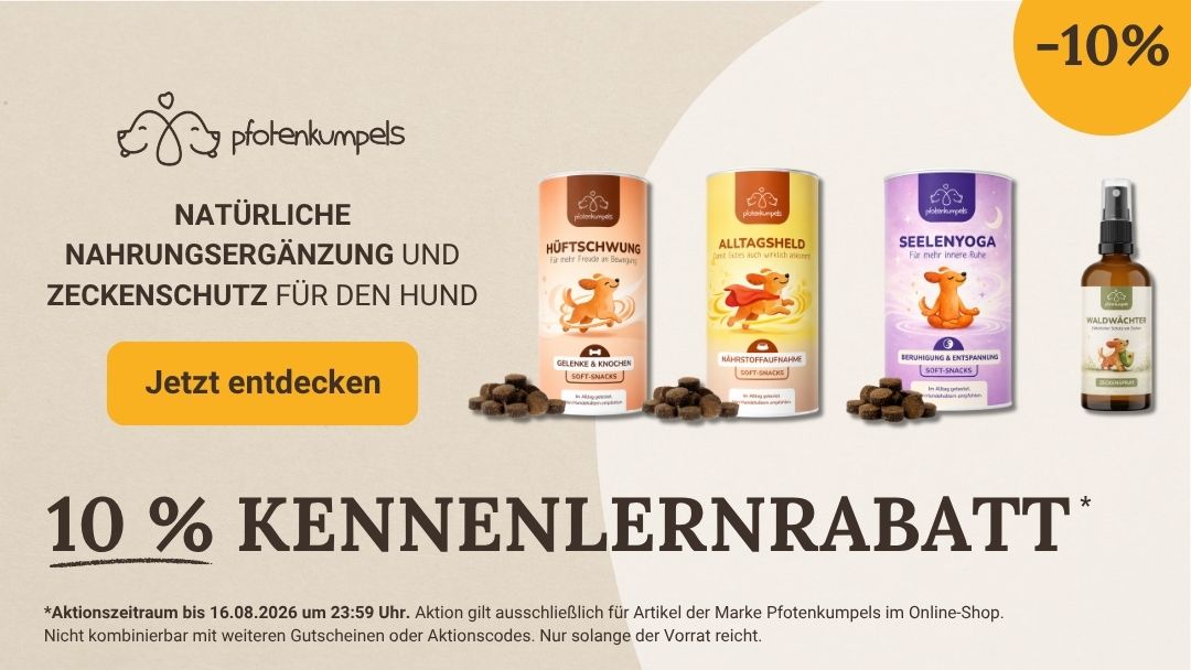 LG-2026-KW33 Pfotenkumpels Shop-Header Mobile DE
