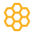 hive