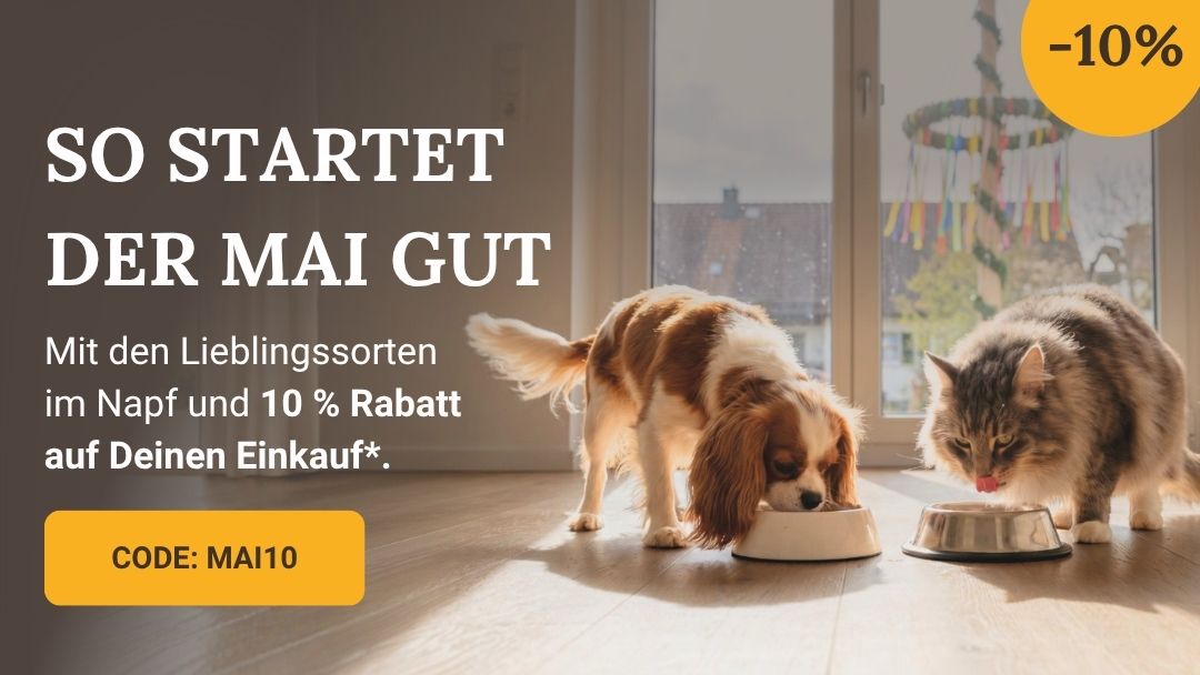 LG-NL 2026-18 10 Prozent Shop-Header Mobile DE