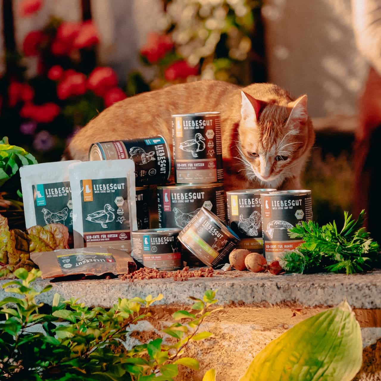 liebesgut_katzenfutter_6 liebesgut_katzenfutter_6