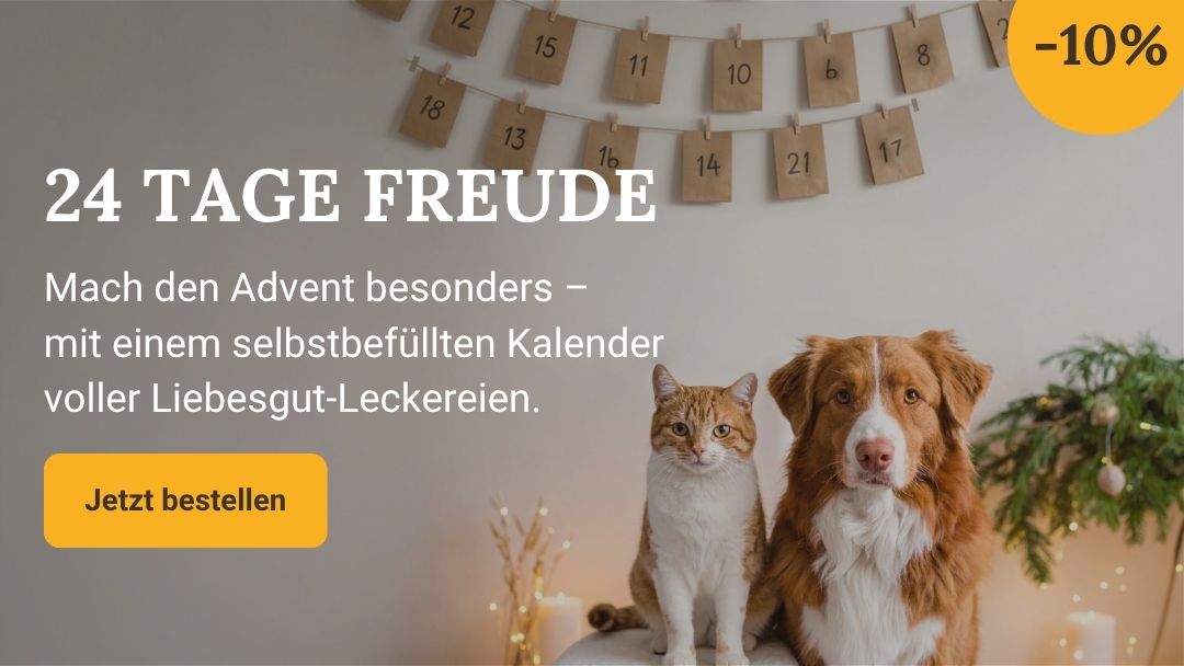 2025KW46_Shop-Header Mobile