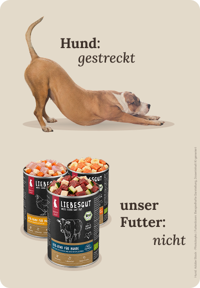 grafik-hund-gestreckt-unser-futter-nicht-hochformat