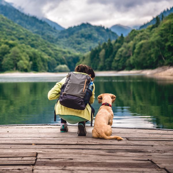 Person mit Rucksack und Hund sitzt am Seeufer vor Bergen und schaut aufs Wasser für Liebesgut Tiernahrung