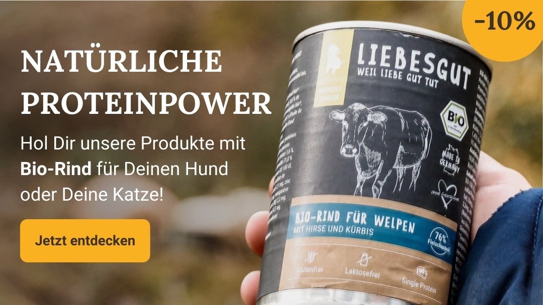 LG-NL 2026-05 Rind Shop-Header Mobile DE_(1)