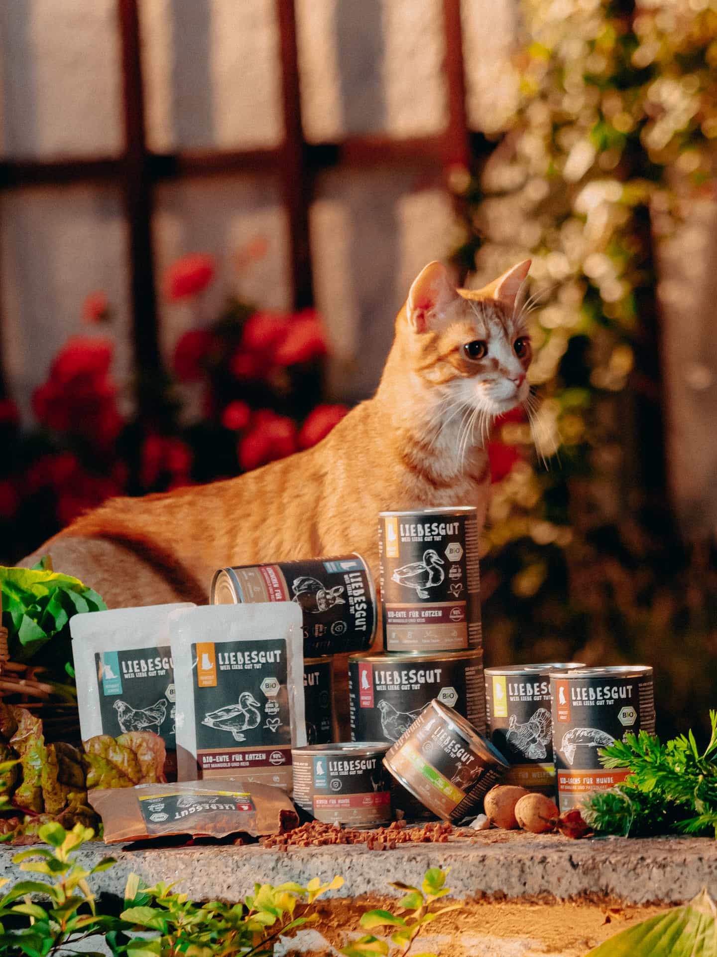 liebesgut_katzenfutter_5 liebesgut_katzenfutter_5