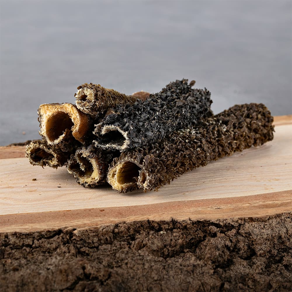 67045010_Trockenkau_LG_Hund_Adult_Bio-Rind-Pansen_V2024-02_HOLZBRETT_komprimiert Bio Rind Pansen