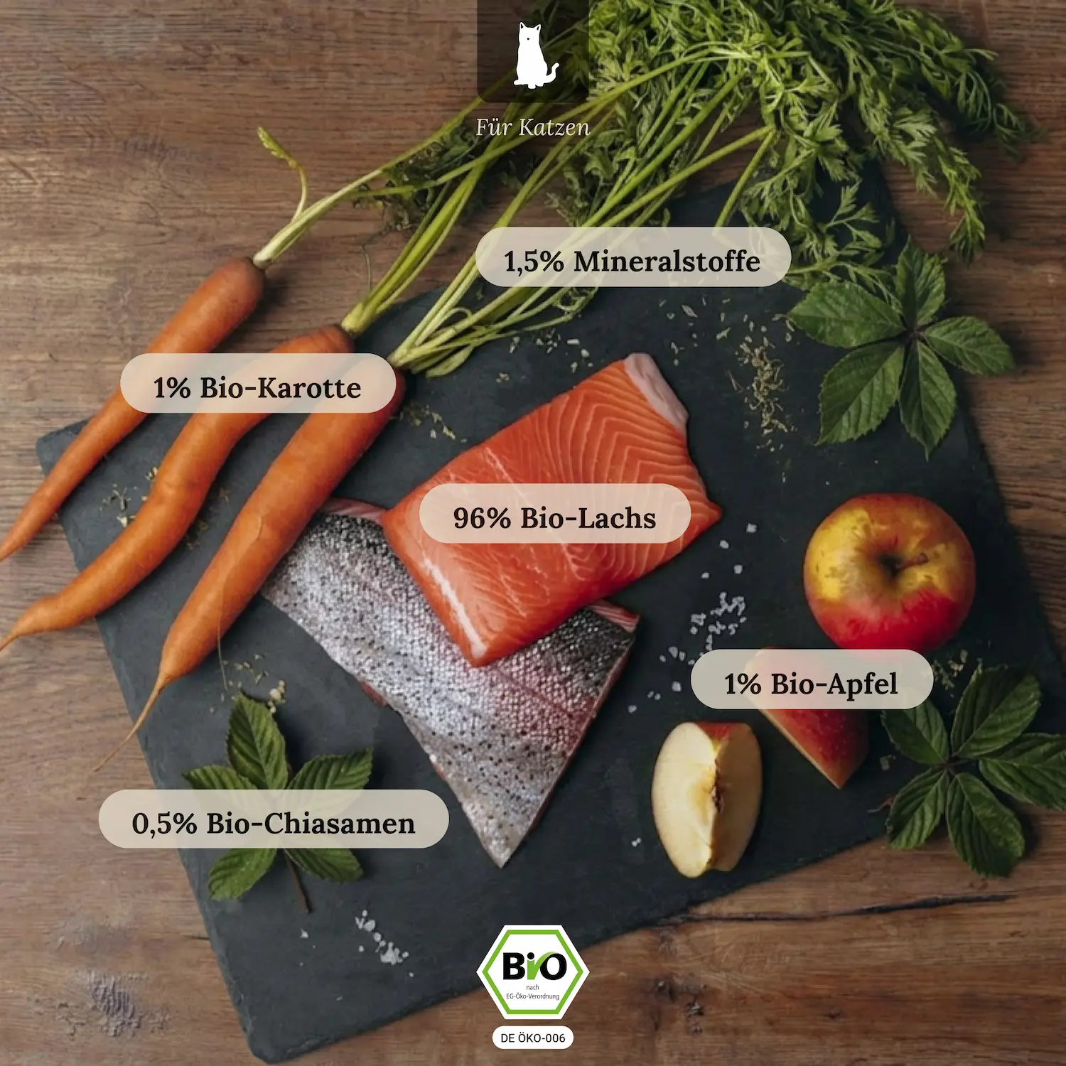 Bio-Lachs mit Bio-Apfel und Bio-Karotte (12x200g)