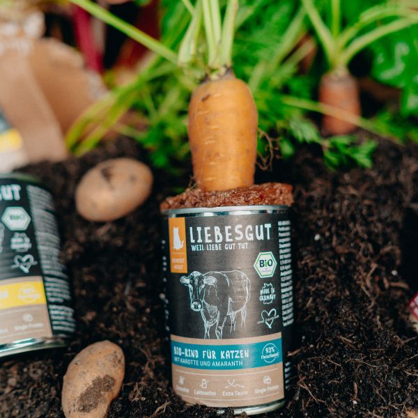 Dose Liebesgut Bio Rind für Katzen steckt in frischer Erde mit Karotte und Kartoffeln vom Ratgeber Liebesgut Tiernahrung