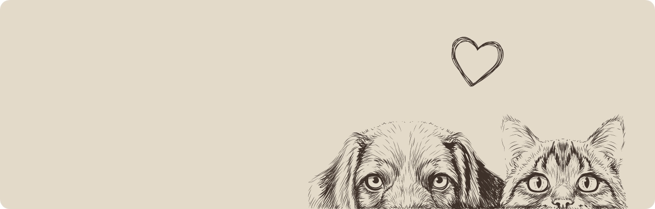 testbild-search-banner testbild-search-banner