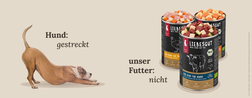 philosophie_hund