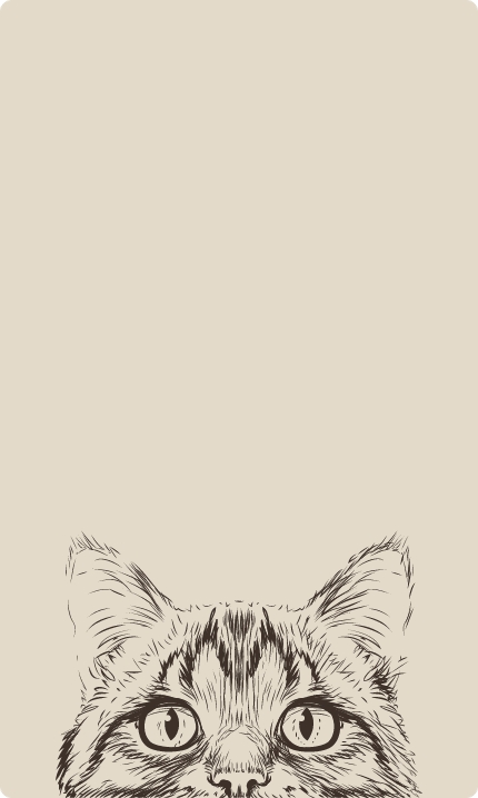 banner-sortiment-katze banner-sortiment-katze