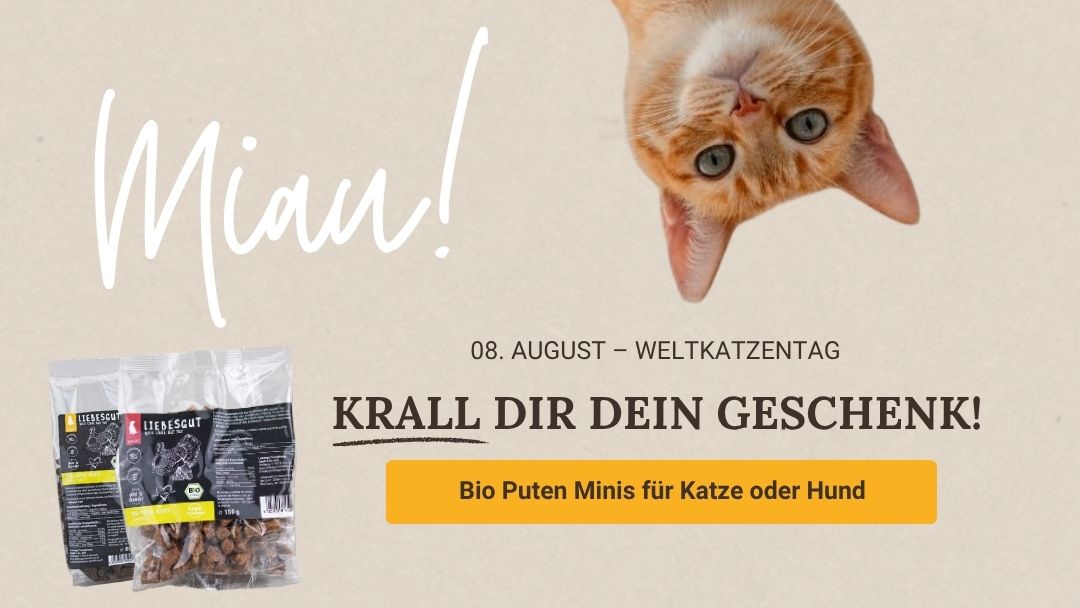 LG-NL 2026-32 Tag-der-Katze Shop-Header Mobile DE