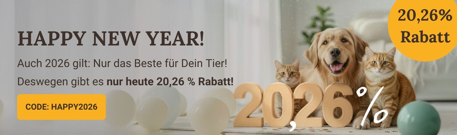 LG-NL 2026-01 Neujahrsaktion Shop-Header Desktop