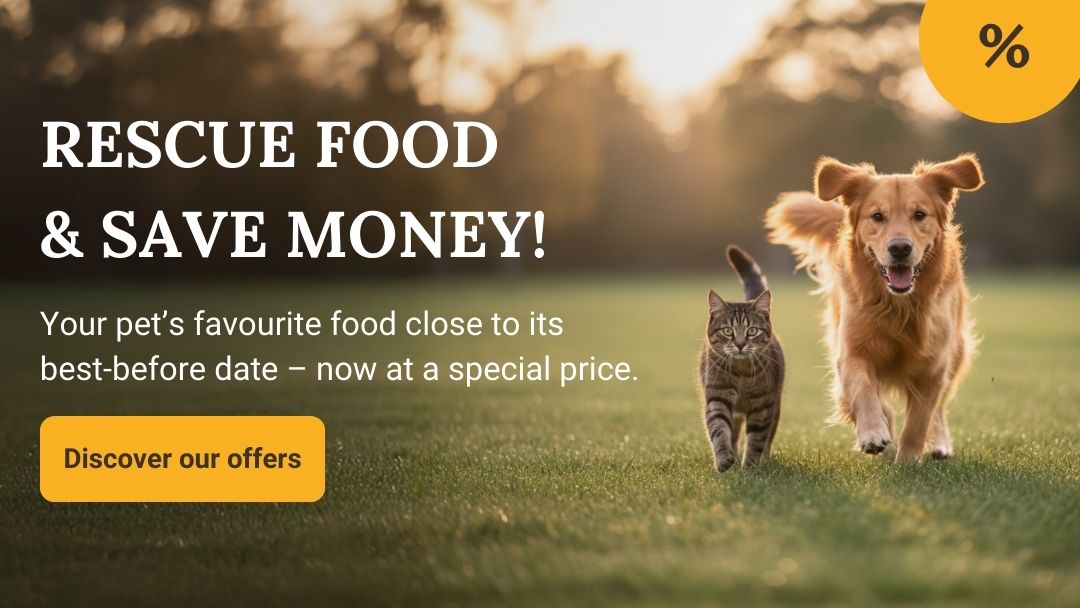 2025-03 MHD-Banner Mobile EN